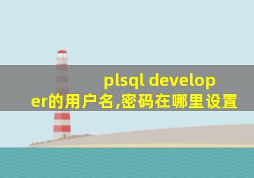 plsql developer的用户名,密码在哪里设置